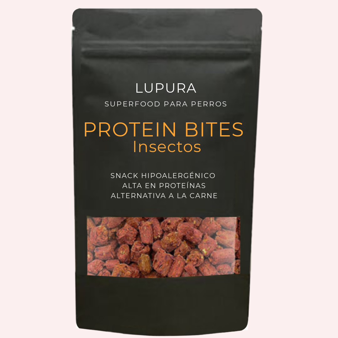 Insect Protein Bites
