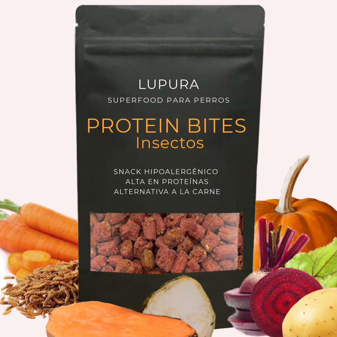 Insect Protein Bites