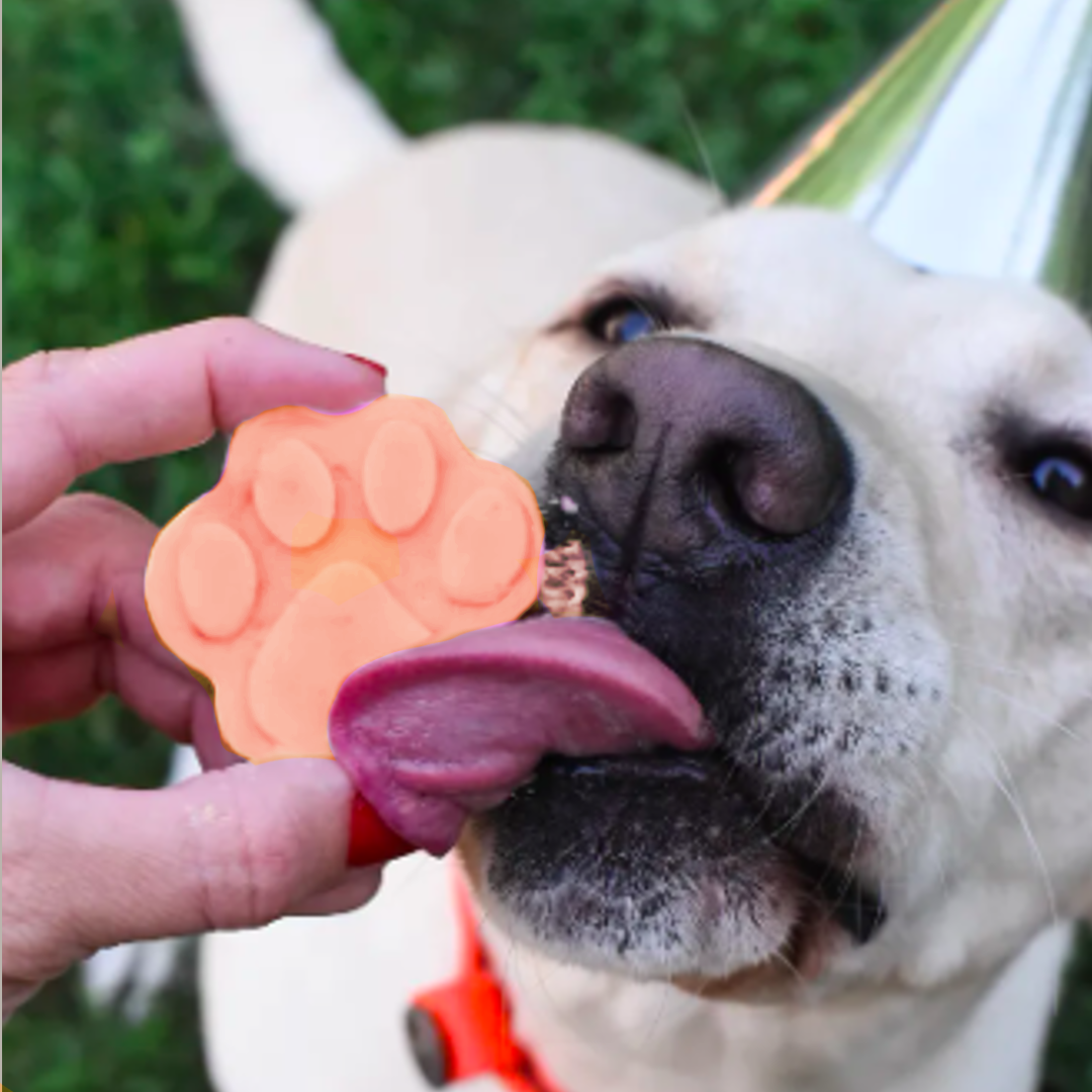 Cubitos de Hielo Refrescantes para Perros